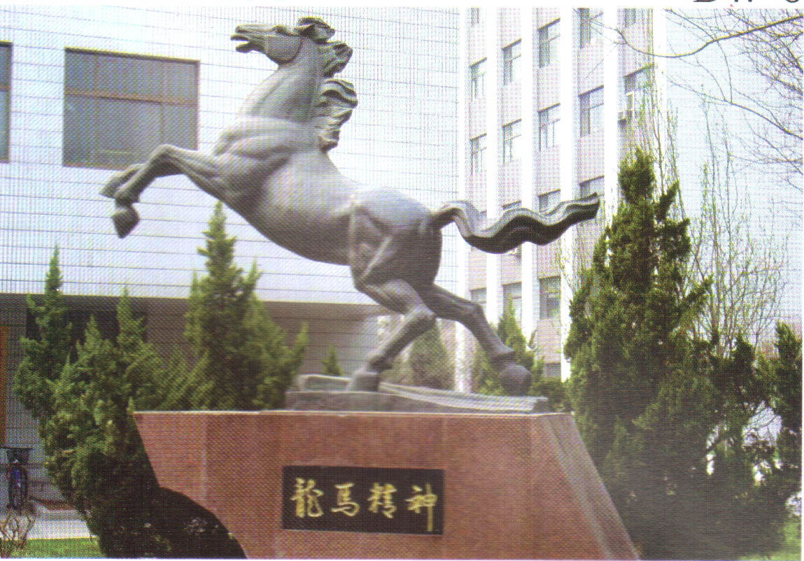 118.jpg